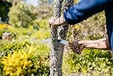 Fiskars Profi Handsäge für frisches Holz, Grobzahnung, Hochwertiges Stahl-Sägeblatt, Schwarz/Orange, SW-240, 1020200 - 5