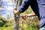 Fiskars Profi Handsäge für frisches Holz, Grobzahnung, Hochwertiges Stahl-Sägeblatt, Schwarz/Orange, SW-240, 1020200 - 6