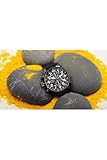 Invicta 1517 I-Force Herren Uhr Edelstahl Quarz schwarzen Zifferblat - 6